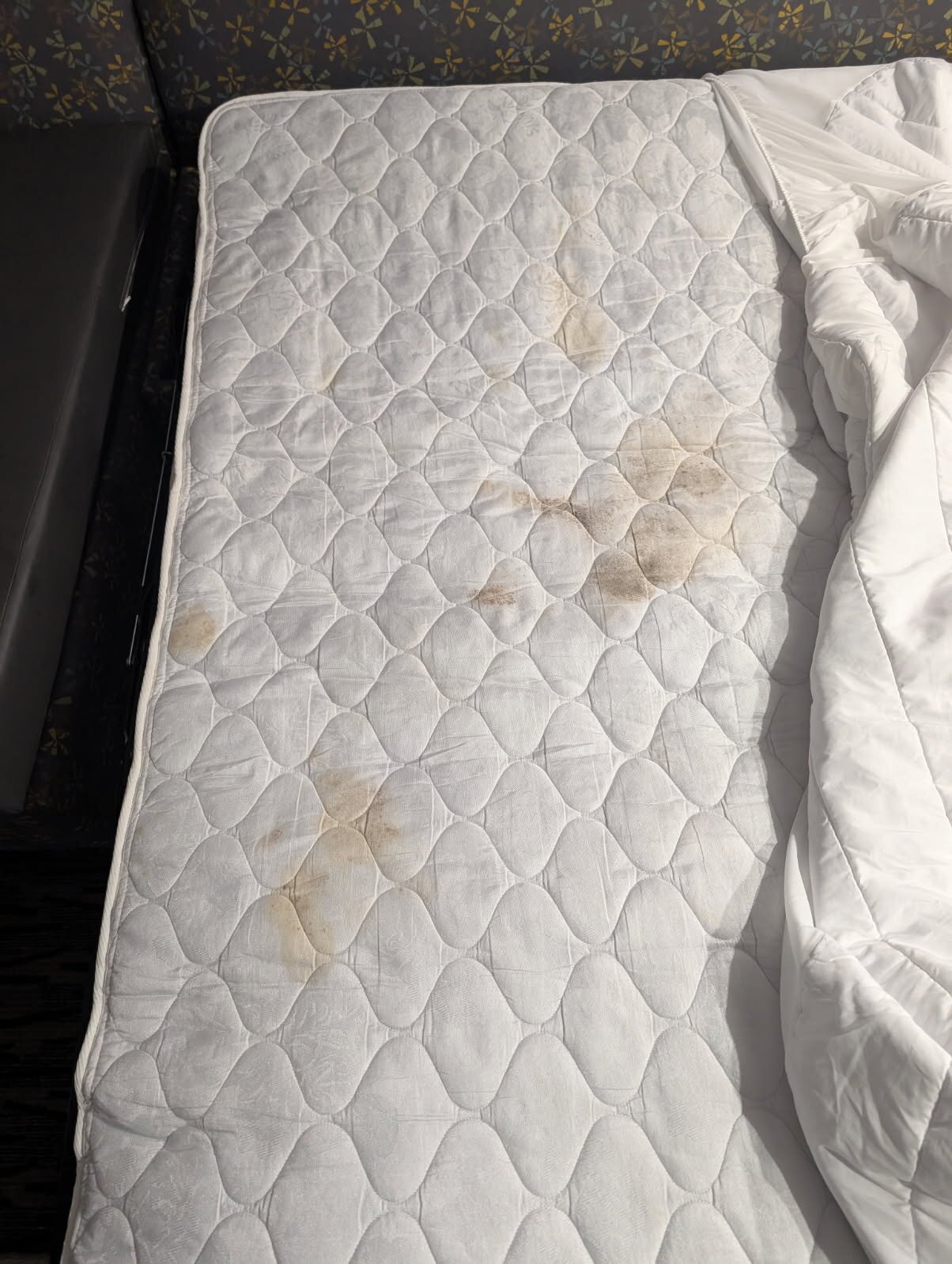 La Quinta Inn & Suites by Wyndham Tupelo-官方