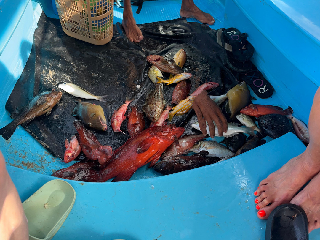 Passikudah Beach Boat Ride Service Pvt Ltd