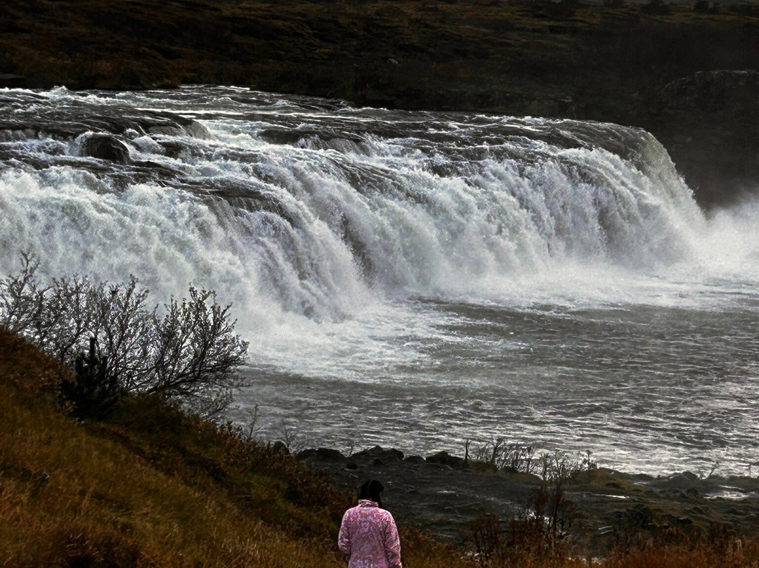 Faxi (Vatnsleysufoss) Waterfall-Skalholt必去景点