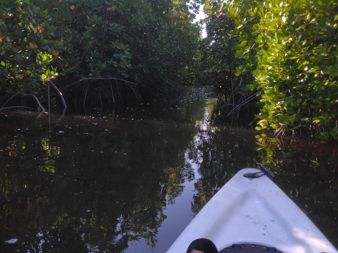 Bwejuu Mangrove Tunnels Kayak-必韦久必去景点