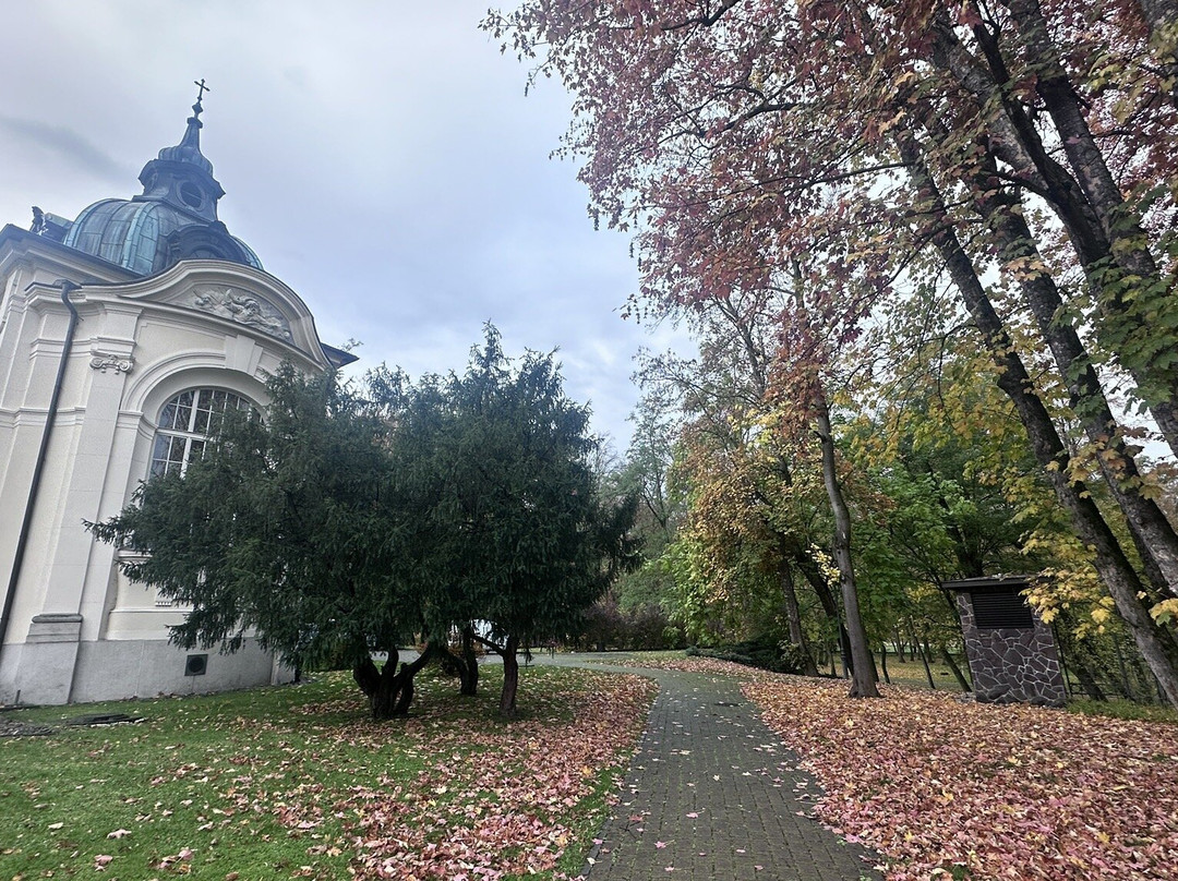 Pałac Goetz-Brzesko必去景点