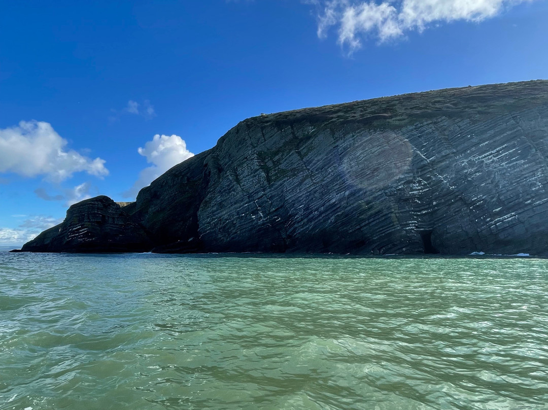 SeaMor Dolphin Watching Boat Trip-纽基必去景点