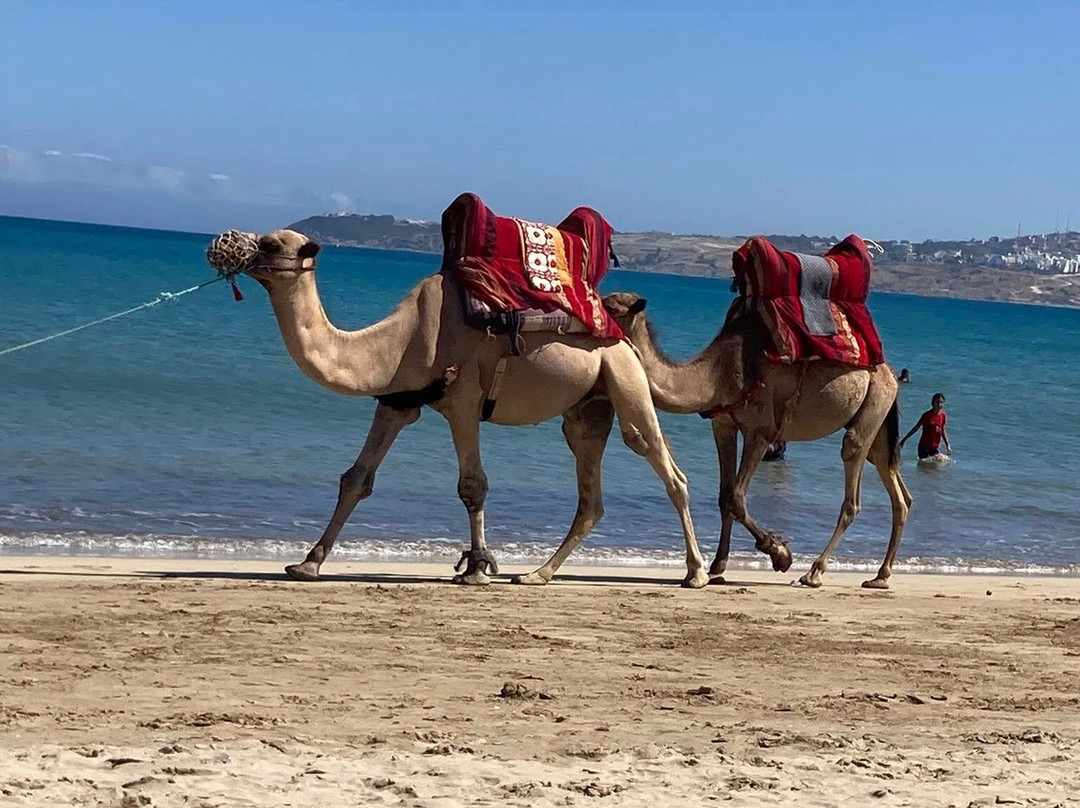 Plage de Tanger-丹吉尔必去景点