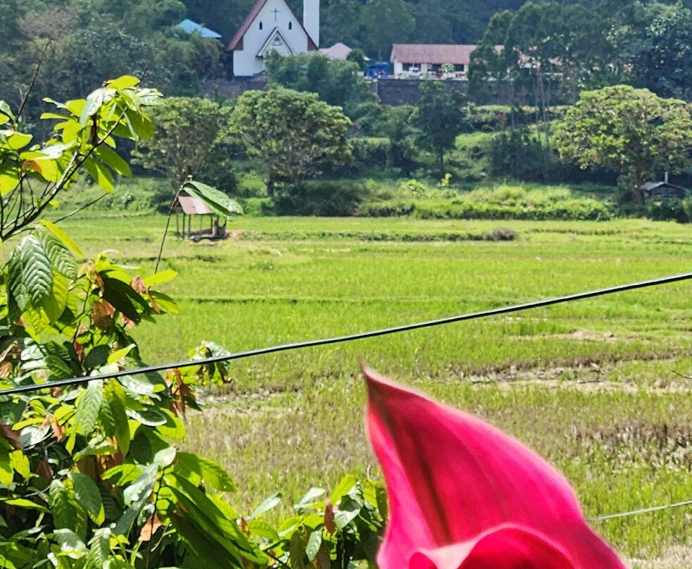 Tana Toraja Tours with Luther-兰特包必去景点