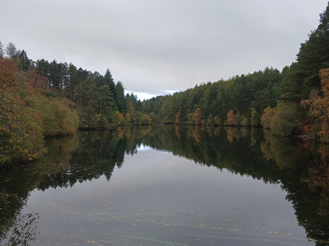 Millbuies Trout Fishery, Moray Fly Fishers-埃尔金必去景点