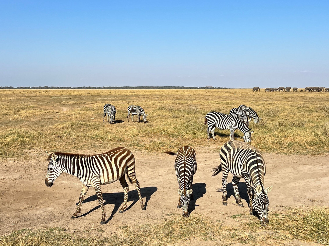 Cherish Africa Safaris-Kikuyu必去景点