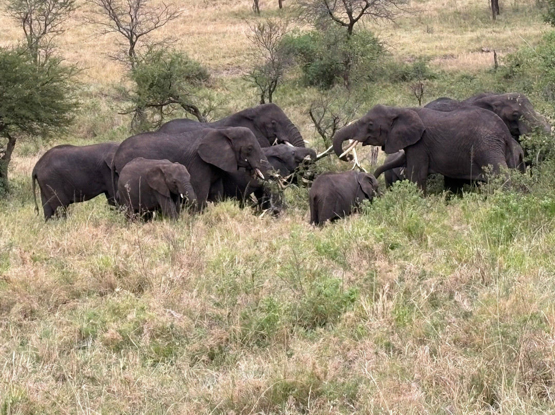 易捷旅游-一日游-阿鲁沙必去景点