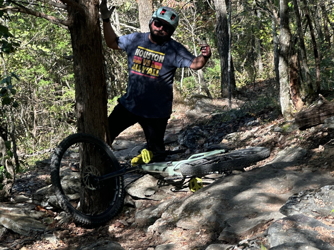 Coler Mountain Bike Preserve-本顿维尔必去景点