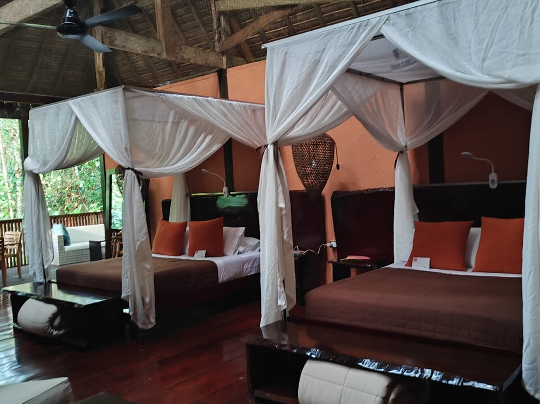 Refugio Amazonas Lodge主图