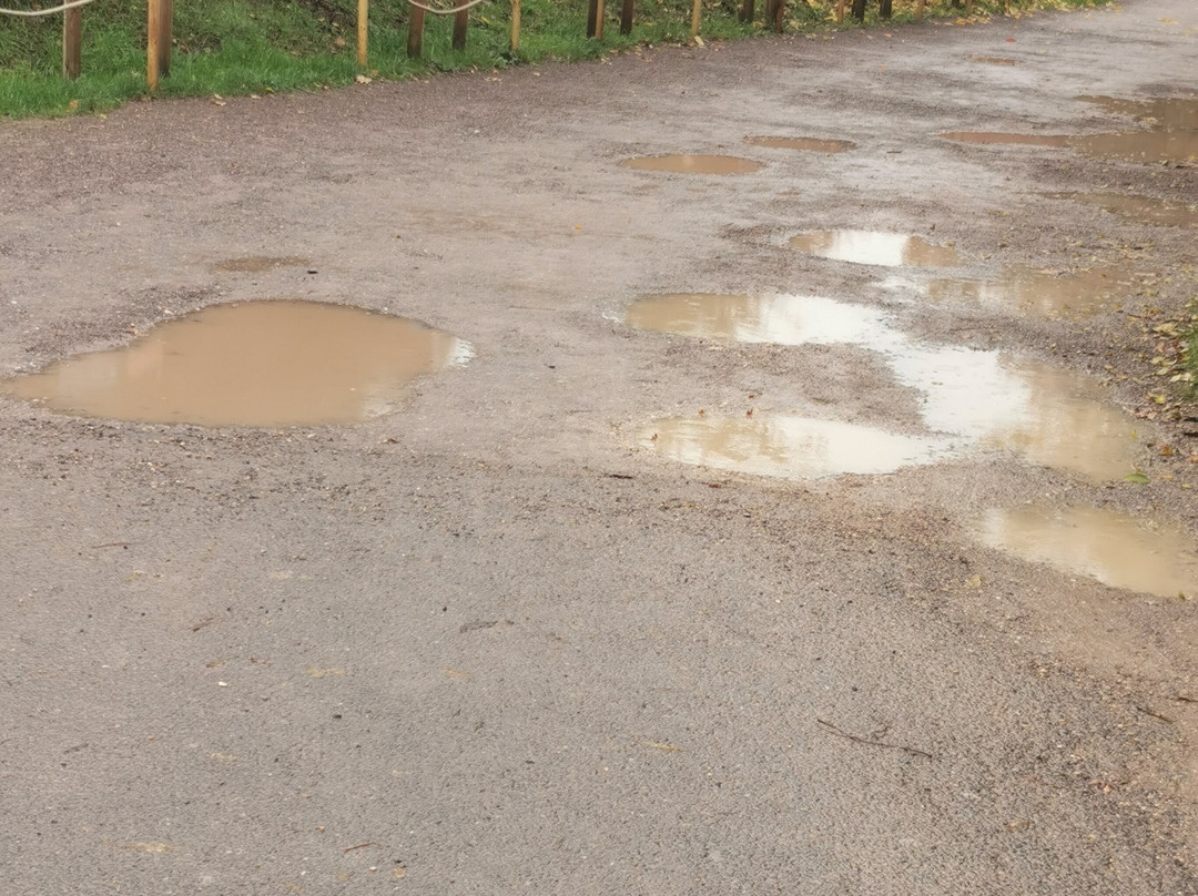 Bristol Zoo Project-Easter Compton必去景点