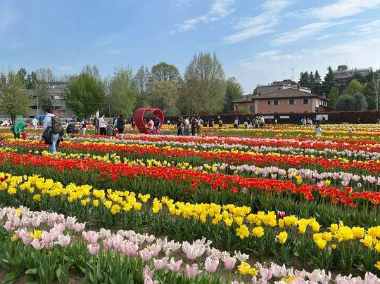 Tulipark-博洛尼亚必去景点