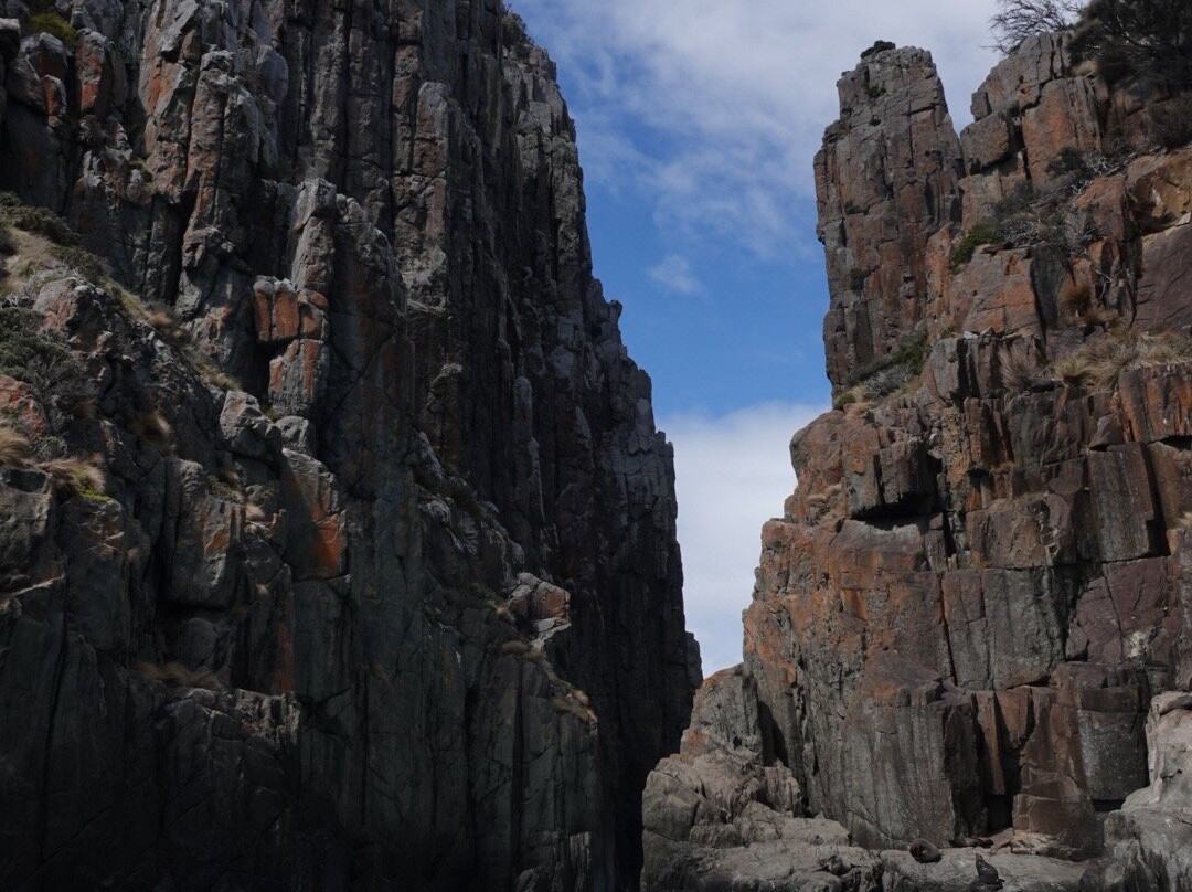 Wild Ocean Tasmania-伊格尔霍克内克必去景点