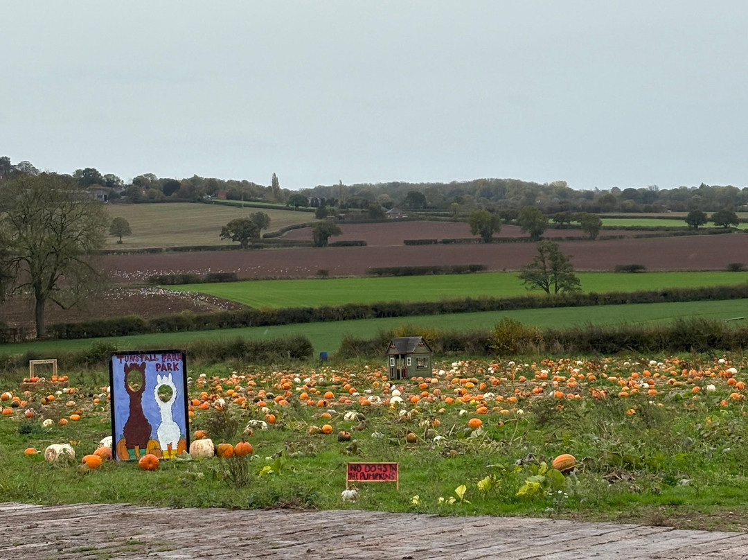 Tunstall Farm Park-Woodseaves必去景点