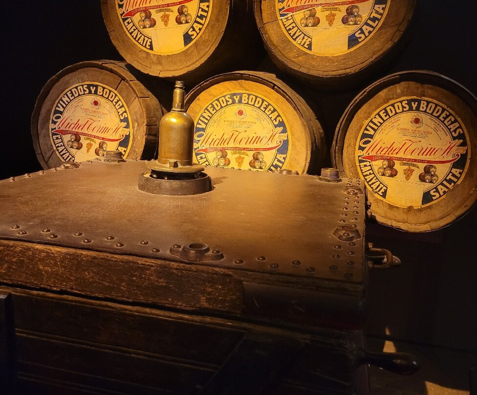 Museo de la Vid y el Vino-卡法亚特必去景点