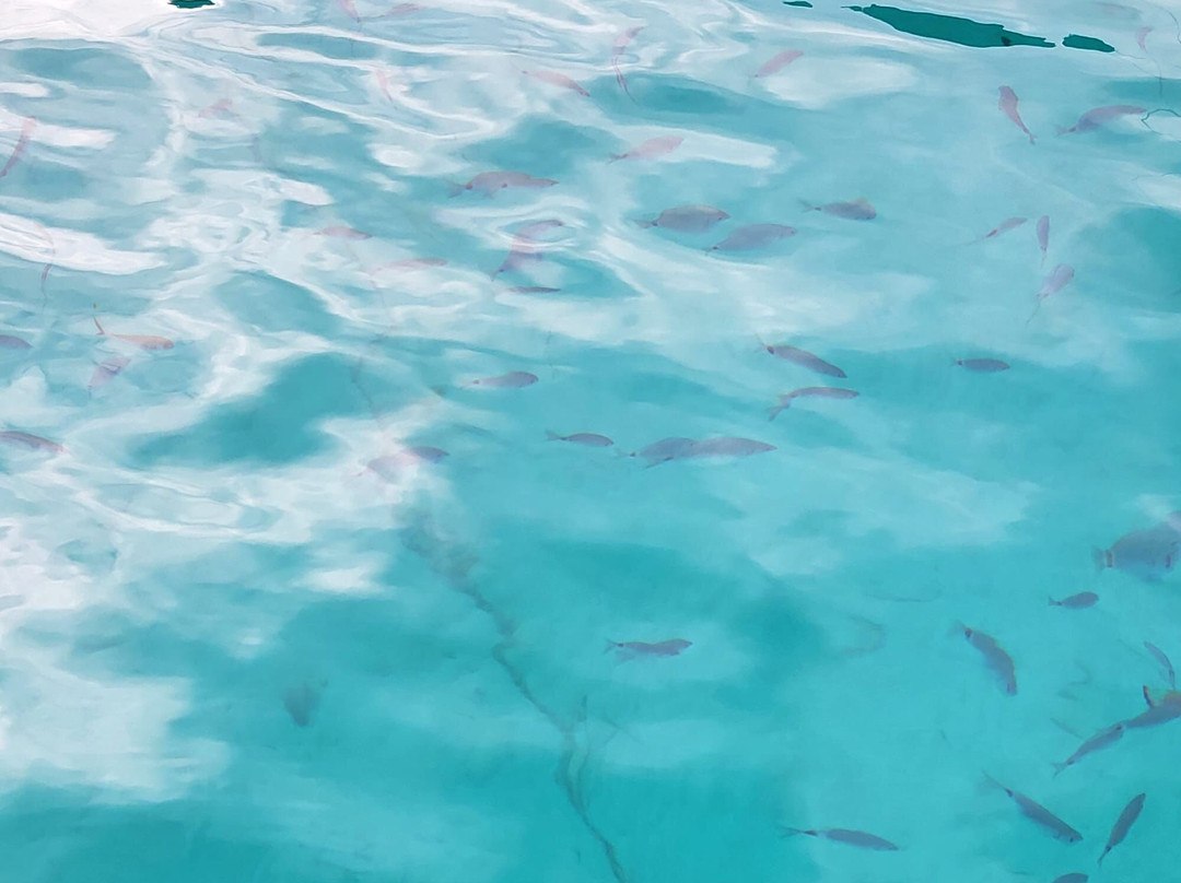 AKVILA TRAVEL COMPANY-Agios Georgios必去景点