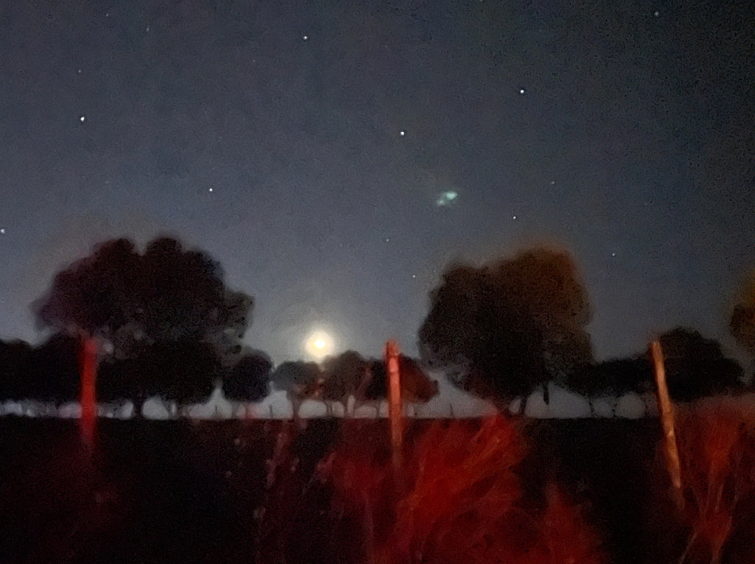 Canela Do Mato-Santana do Livramento必去景点