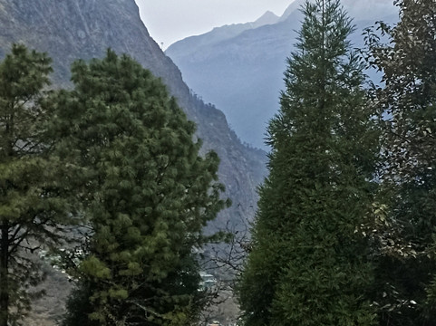 Jain Group Lachung Eyes主图