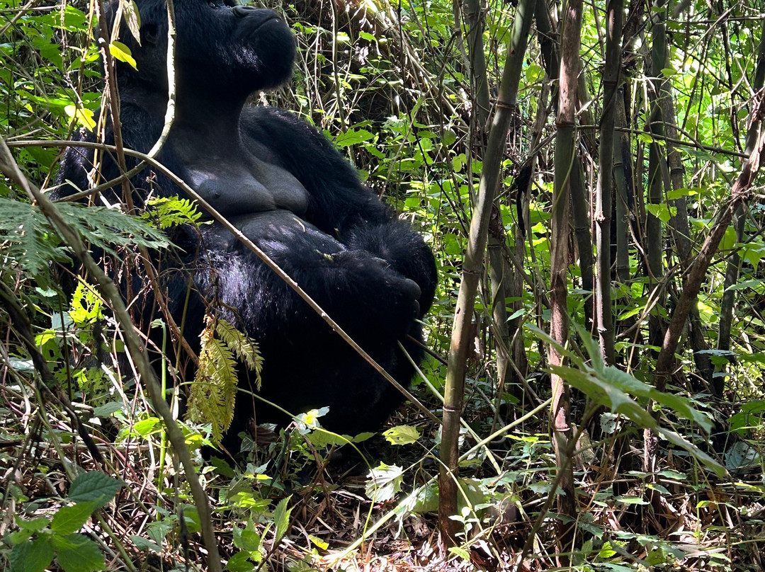 Lake Chahafi Resort主图