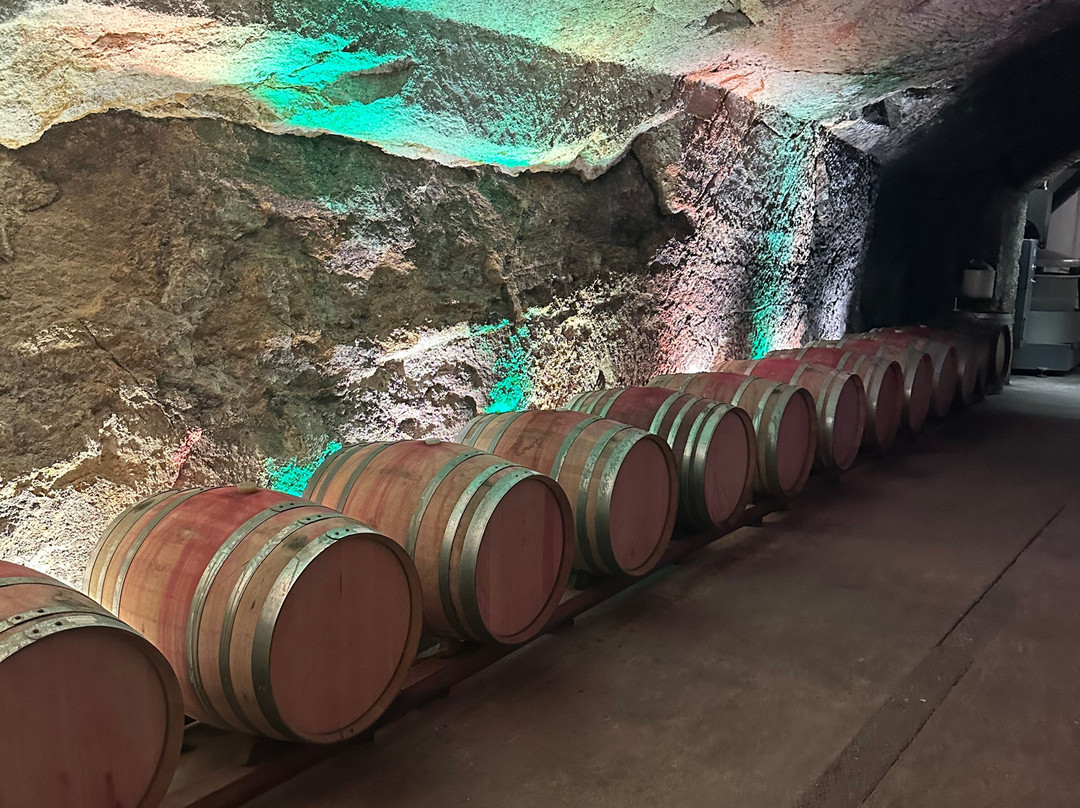 Buena Vista Winery-索诺玛必去景点