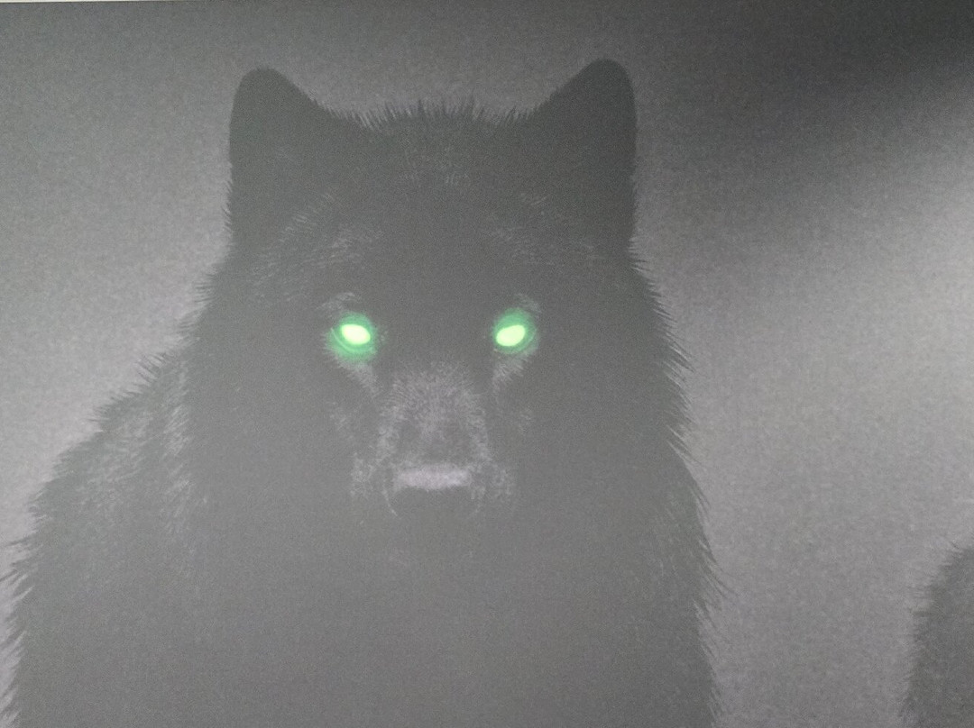 Arenaführung Volkswagen Arena-沃尔夫斯堡必去景点