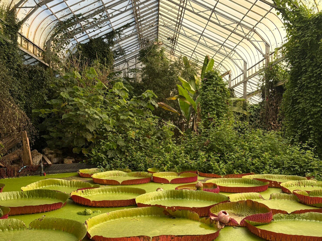 Ventnor Botanic Garden-文特诺必去景点