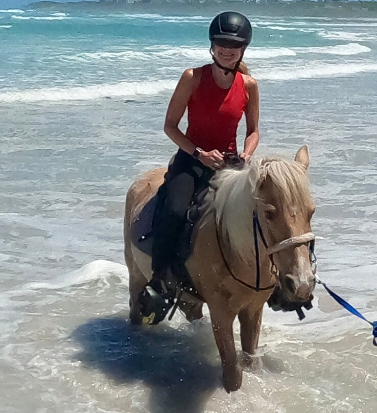 Gansbaai & Pearly Beach Horse Trails-干斯拜必去景点