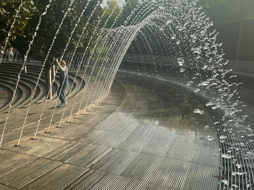 Galitskogo Park-克拉斯诺达尔必去景点