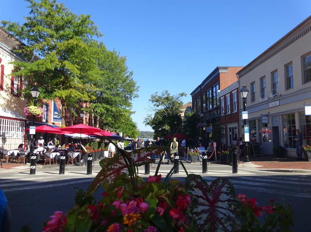 Potomac Water Taxi | City Cruises-亚历山德里亚必去景点