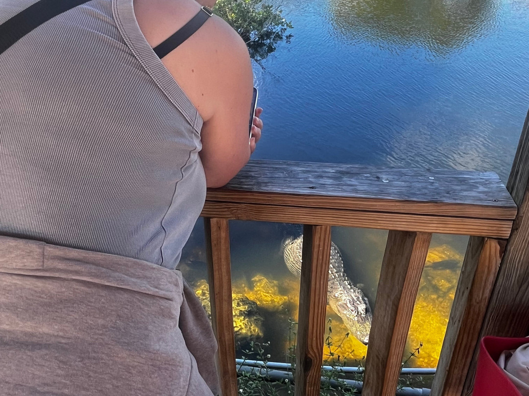 Captain Jack's Airboat Tours-大沼泽地必去景点