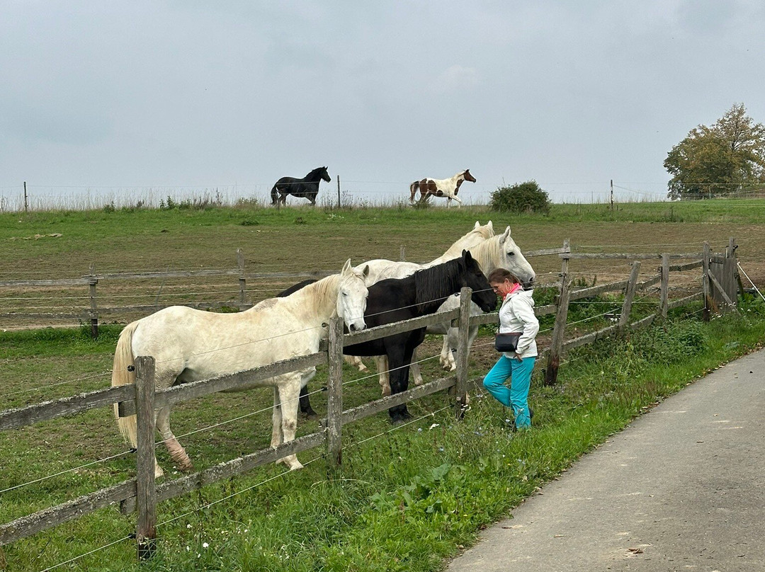 Magische Heimbach - Wanderung-Meisenheim必去景点