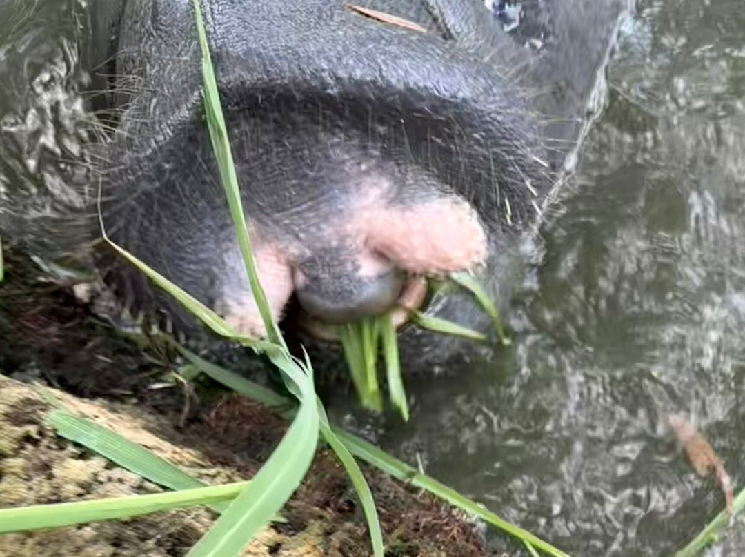 Guyana National Park-乔治城必去景点