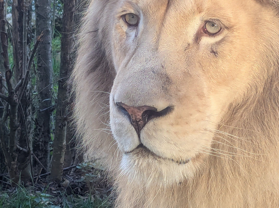 Le Domaine des Fauves-Les Abrets必去景点