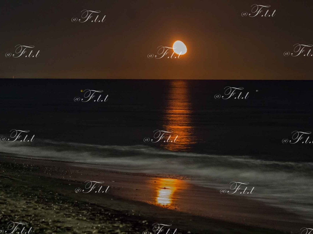 Lido La Playa Beach Club-波利科罗必去景点