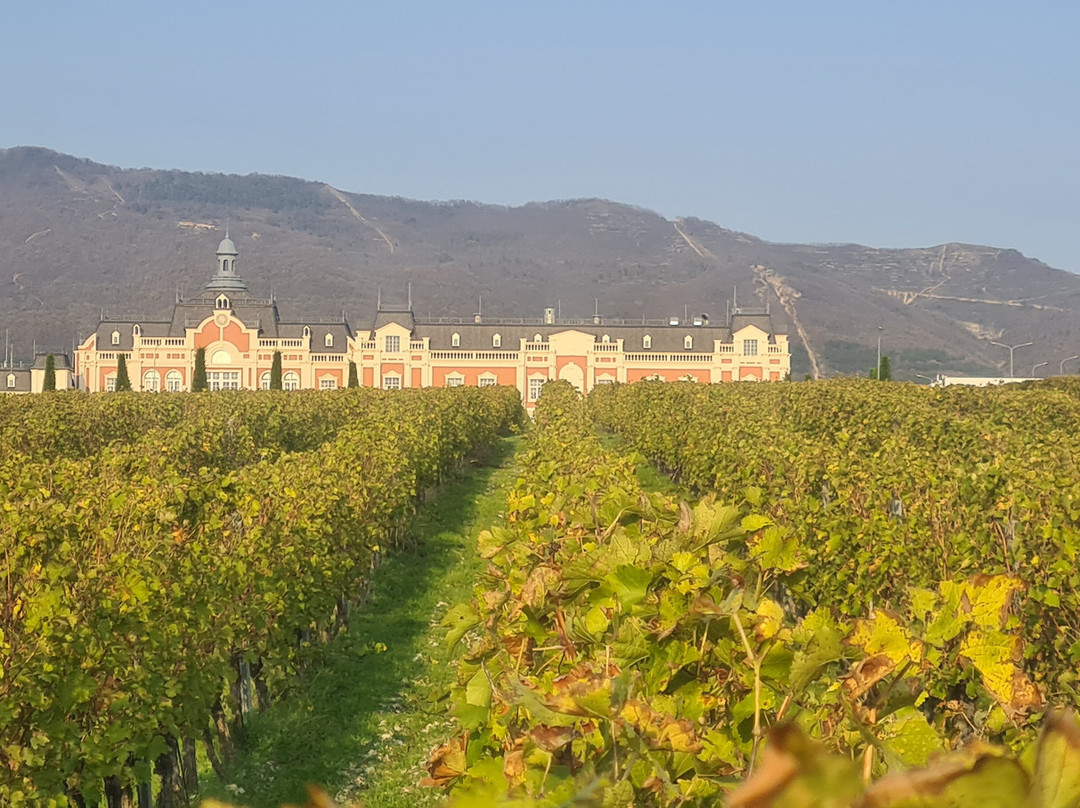 Château de Talu-Gelendzhik必去景点