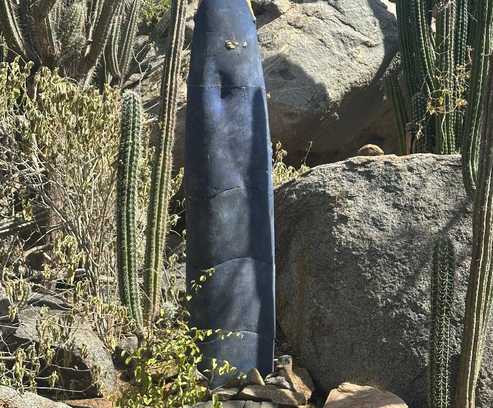 Terrafuse-Noord必去景点