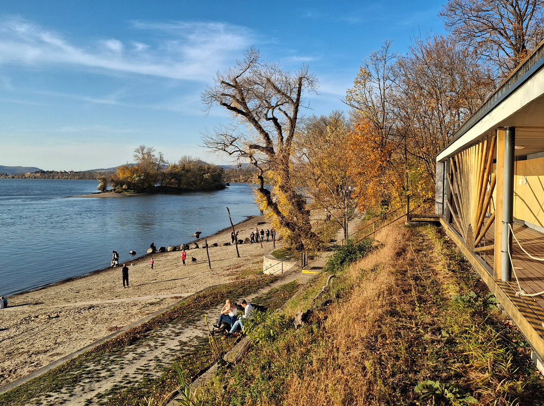 Partifecske Stand, Zebegény