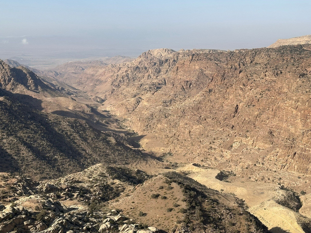 Dana酒店住宿-Dana Guesthouse