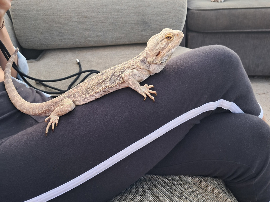 Tenerife Animal Sanctuary-圣克鲁斯-德特内里费必去景点