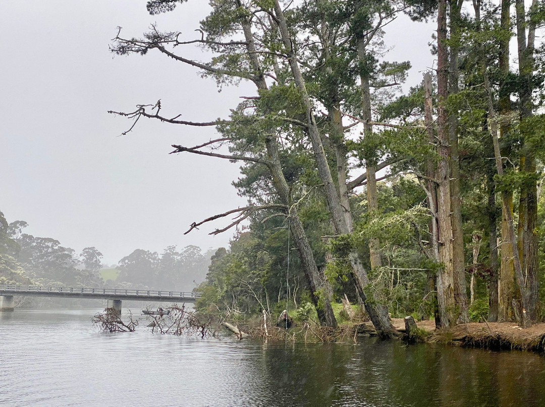 Leven River Cruises-Ulverstone必去景点