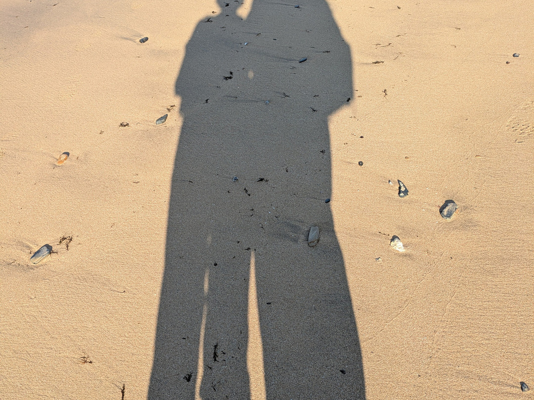 Rota Vicentina-Odemira必去景点