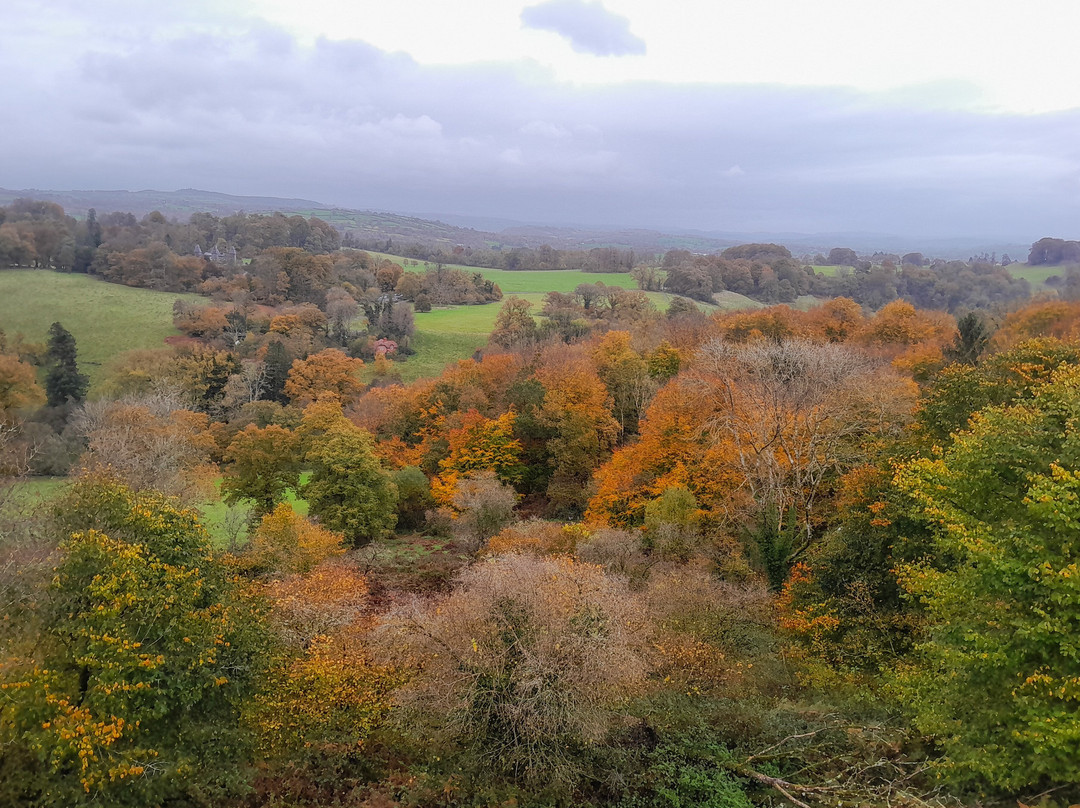 Dinefwr-兰代洛必去景点