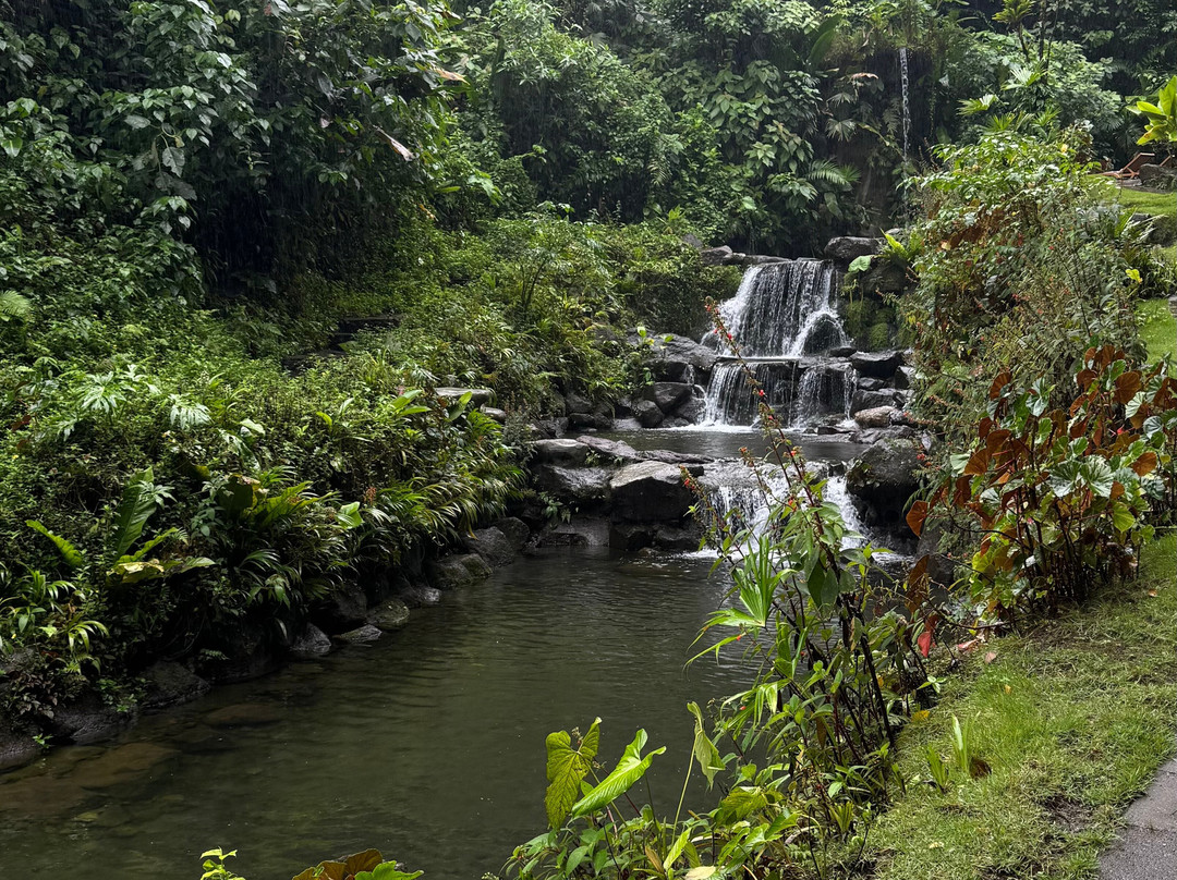 Kurú Natural Springs-福德圣卡洛斯必去景点