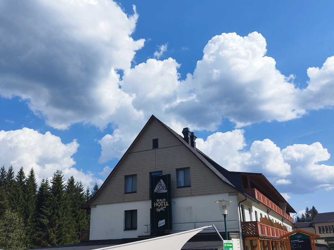 Muldenhammer酒店住宿-Waldhotel Vogtland