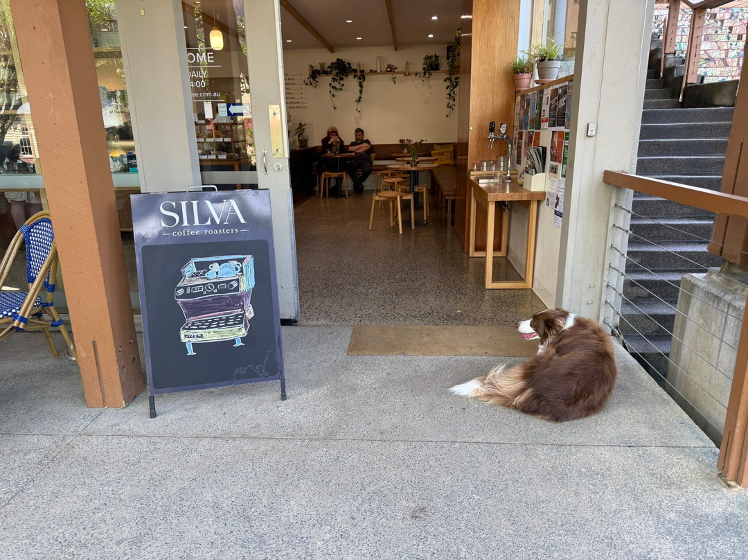 Silva Coffee Roasters