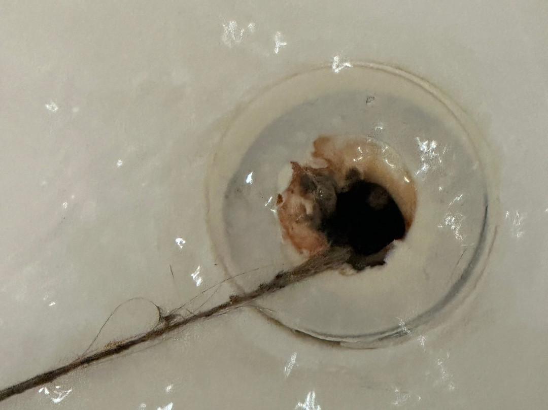 Holiday Inn Columbia-East by IHG主图