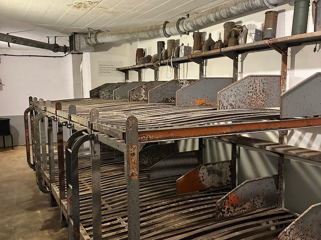 Maginot Line Tours - Tucker Tours-Sedan必去景点