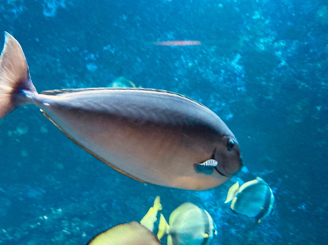 Klimahaus Bremerhaven-不来梅港必去景点