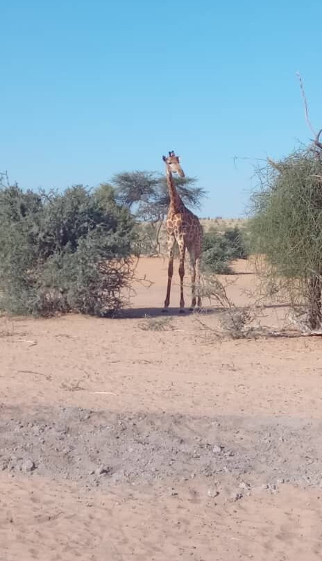 Parc National D'awleigatt - Pna-诺克少必去景点