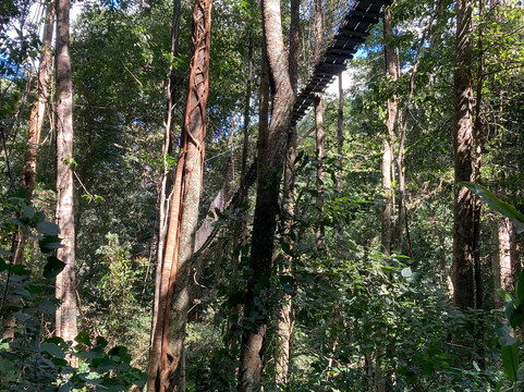 Wander Laos Tour-琅勃拉邦必去景点