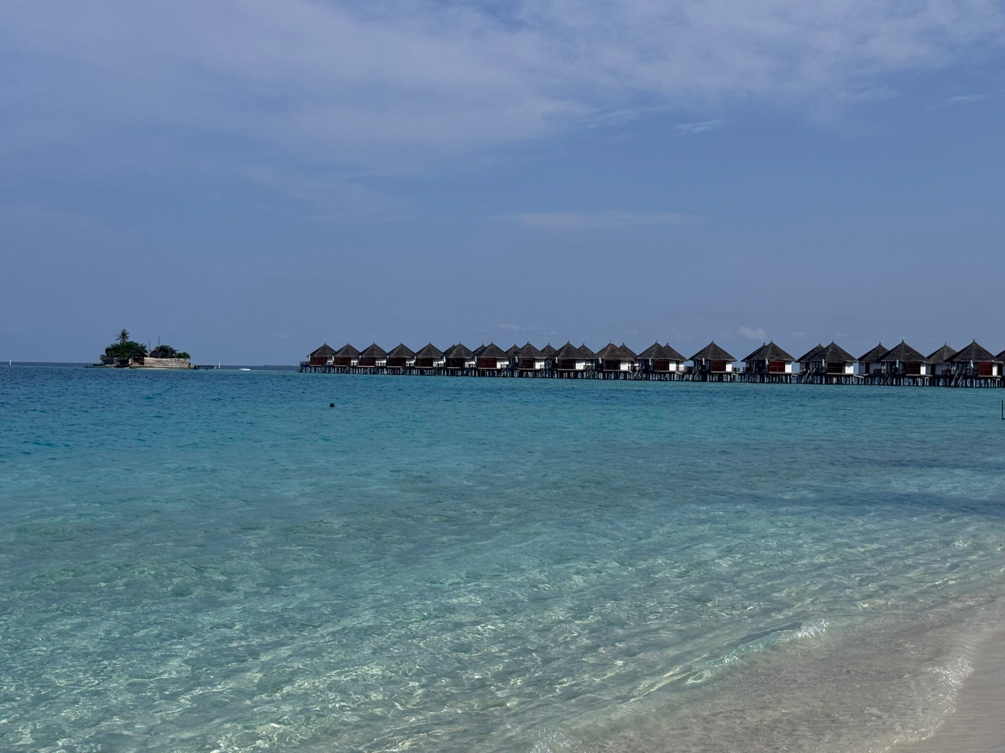 野生动物园岛度假村-官方